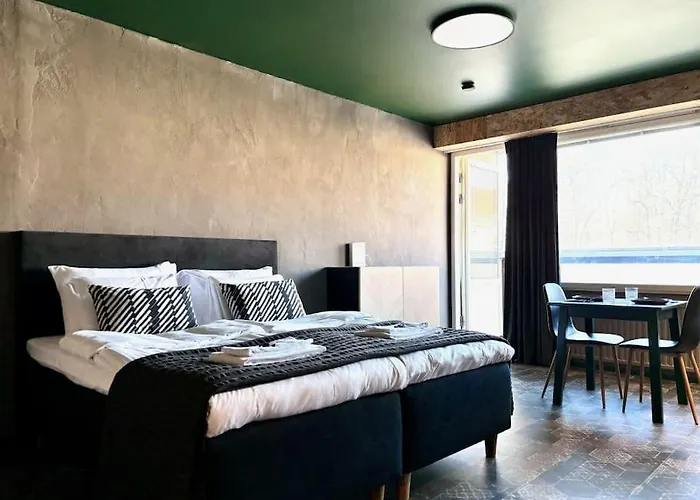 Borg Valtakatu Apartamento